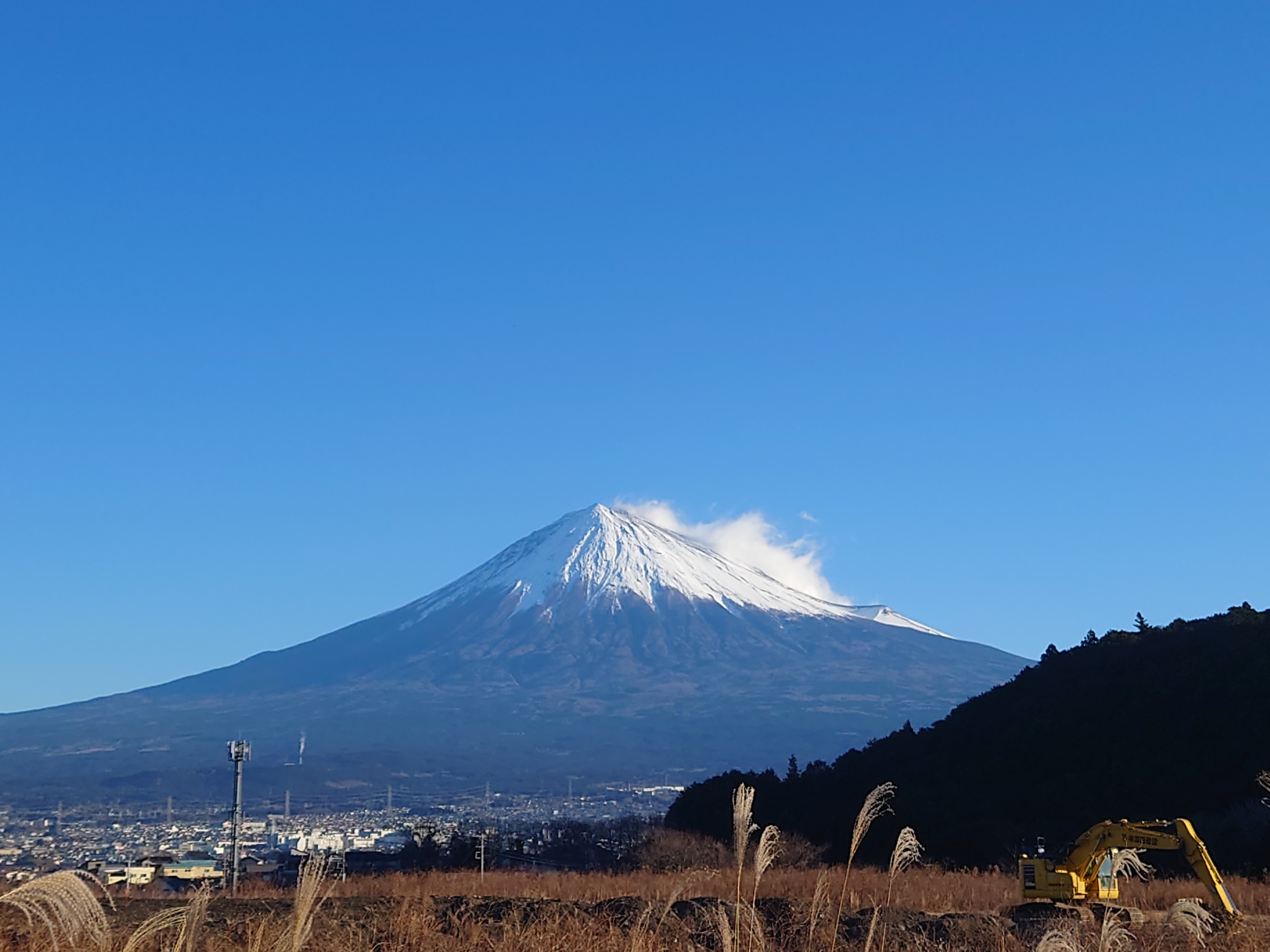 2025年1月8日（撮影）